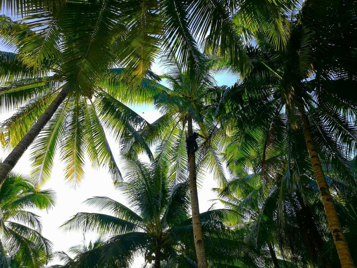 Siargao Residency Διαμέρισμα Union  Εξωτερικό φωτογραφία