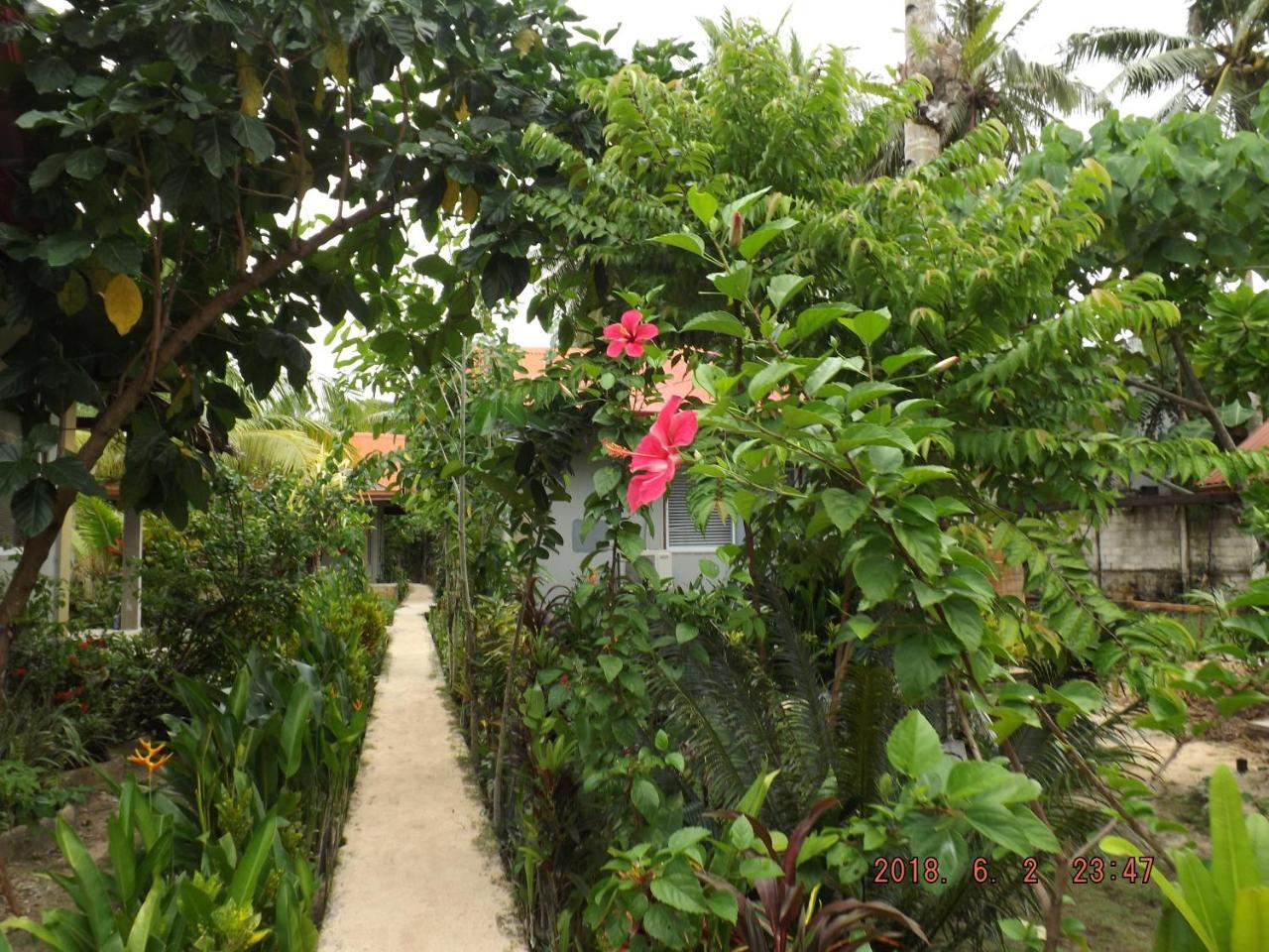Siargao Residency Διαμέρισμα Union  Εξωτερικό φωτογραφία