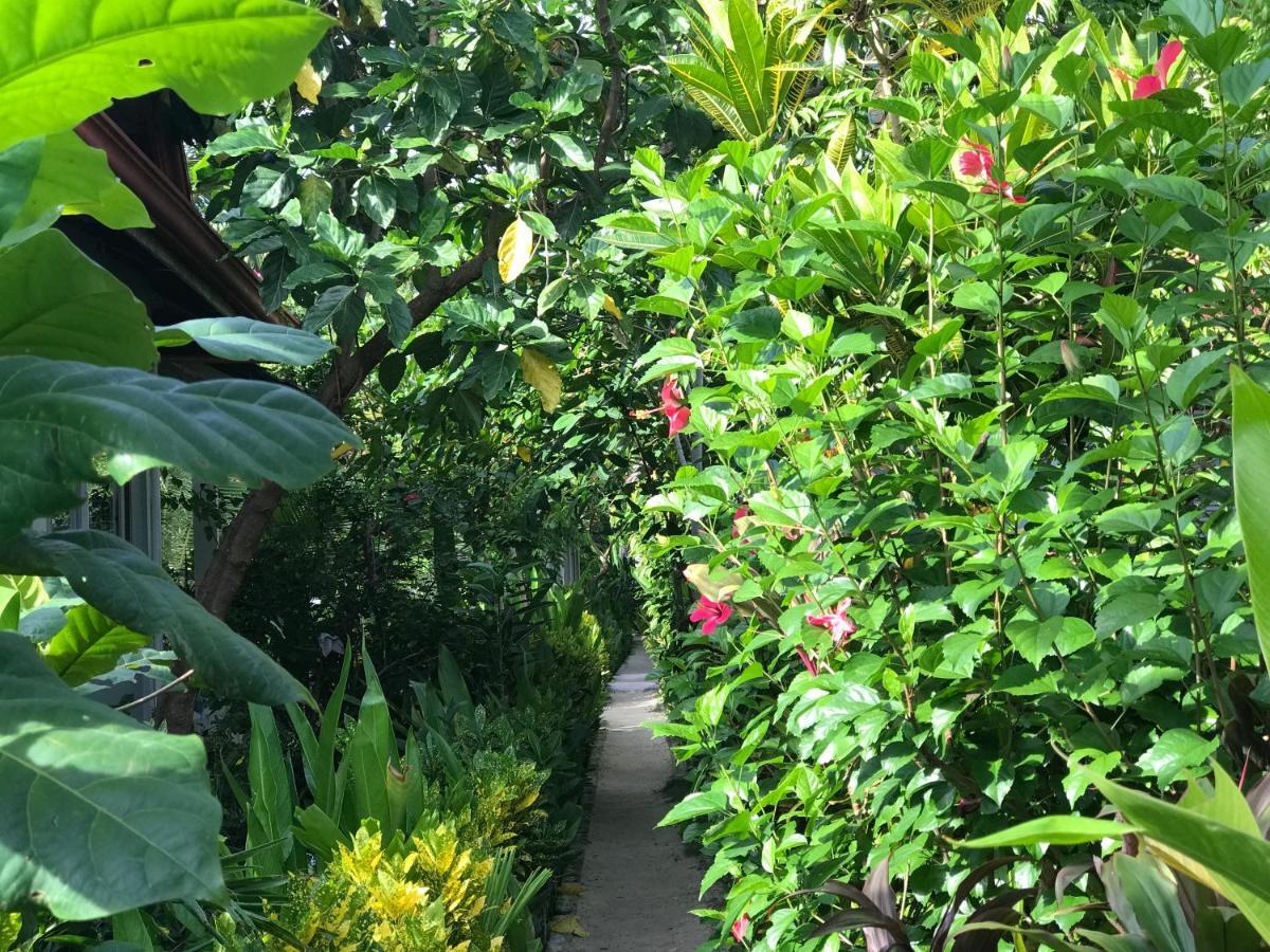 Siargao Residency Διαμέρισμα Union  Εξωτερικό φωτογραφία