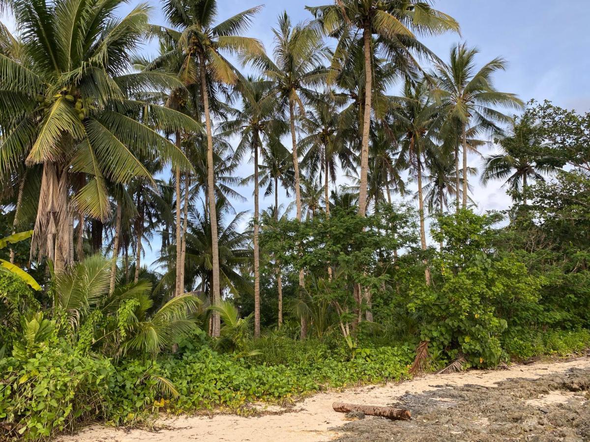 Siargao Residency Διαμέρισμα Union  Εξωτερικό φωτογραφία